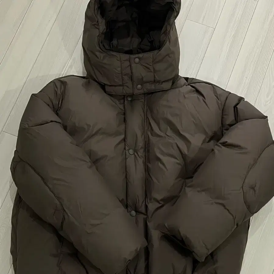 Vivastudio shrot big puffer L size