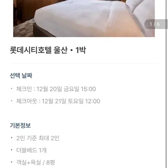 울산 롯데시티호텔 1박*4개 (12월 20일)