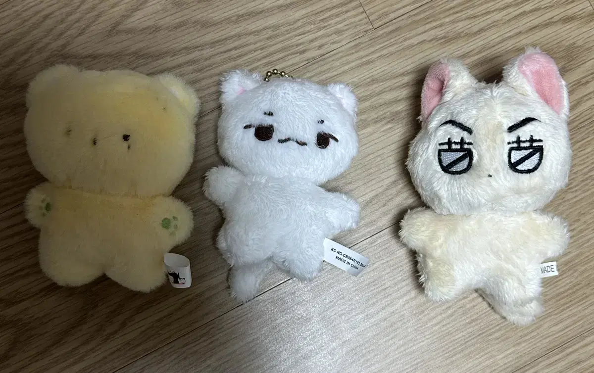 뾰냥이,뿌들레,버냥이 양도합니다!