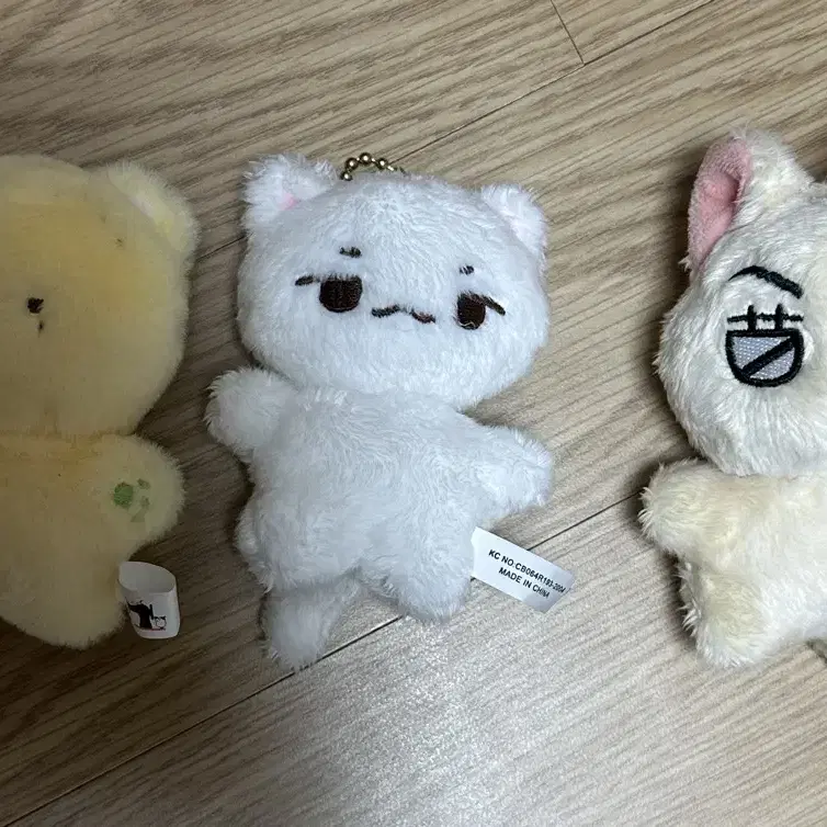 뾰냥이,뿌들레,버냥이 양도합니다!