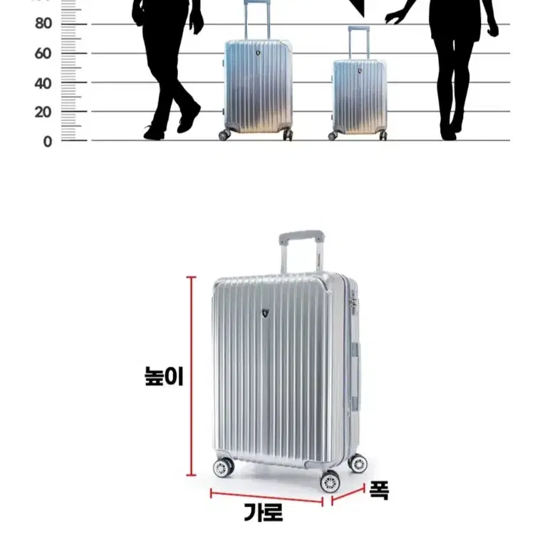 폰티악 캐리어 초초특가