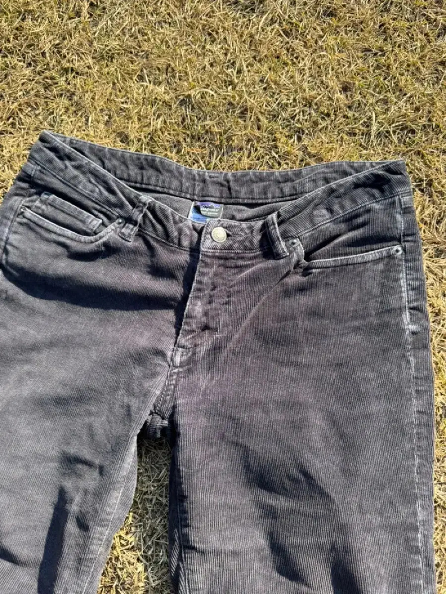 Patagonia corduroy pants