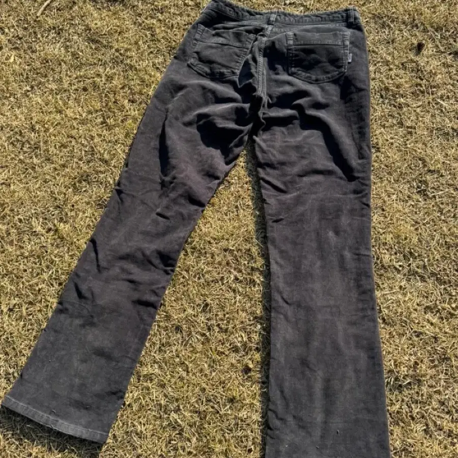 Patagonia corduroy pants