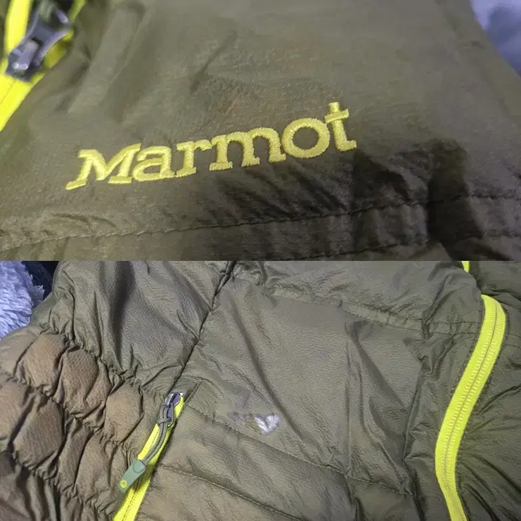 MARMOT 다운