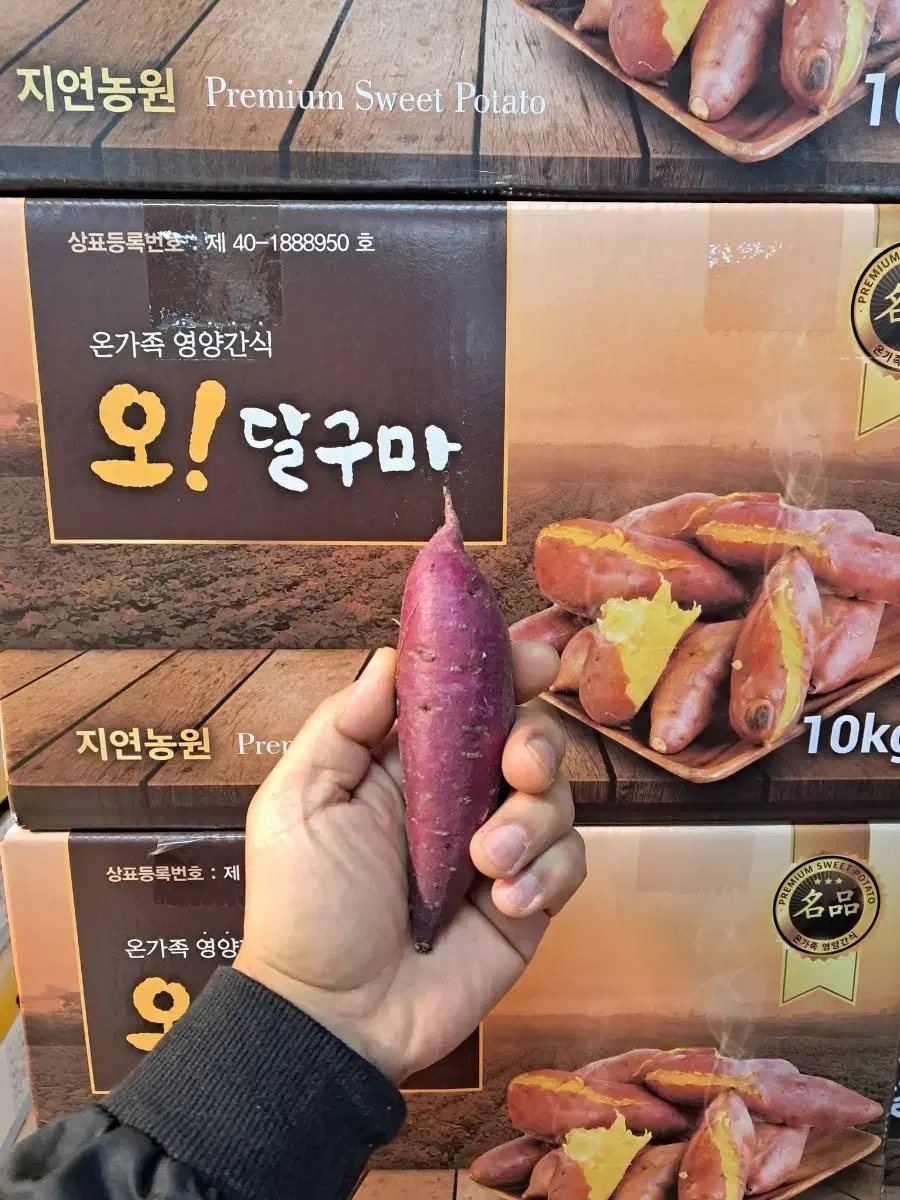 달구마10kg