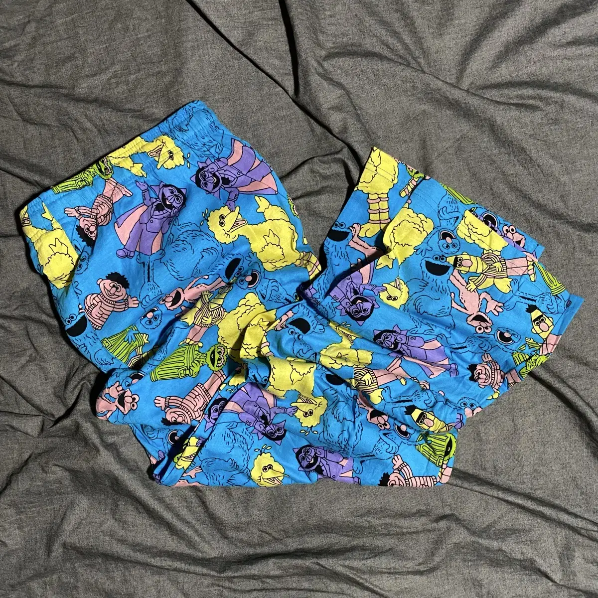 Sesame Street Pajama Pants Sz M