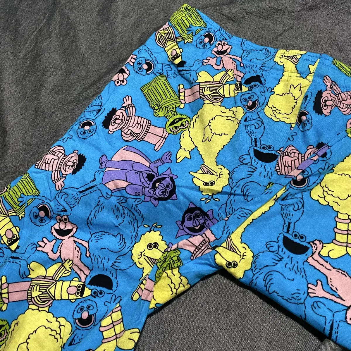 Sesame Street Pajama Pants Sz M