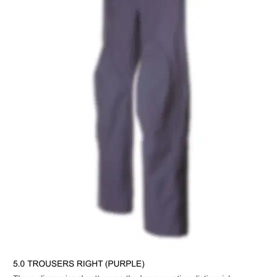 PAF 5.0 TROUSERS RIGHT (PURPLE) L