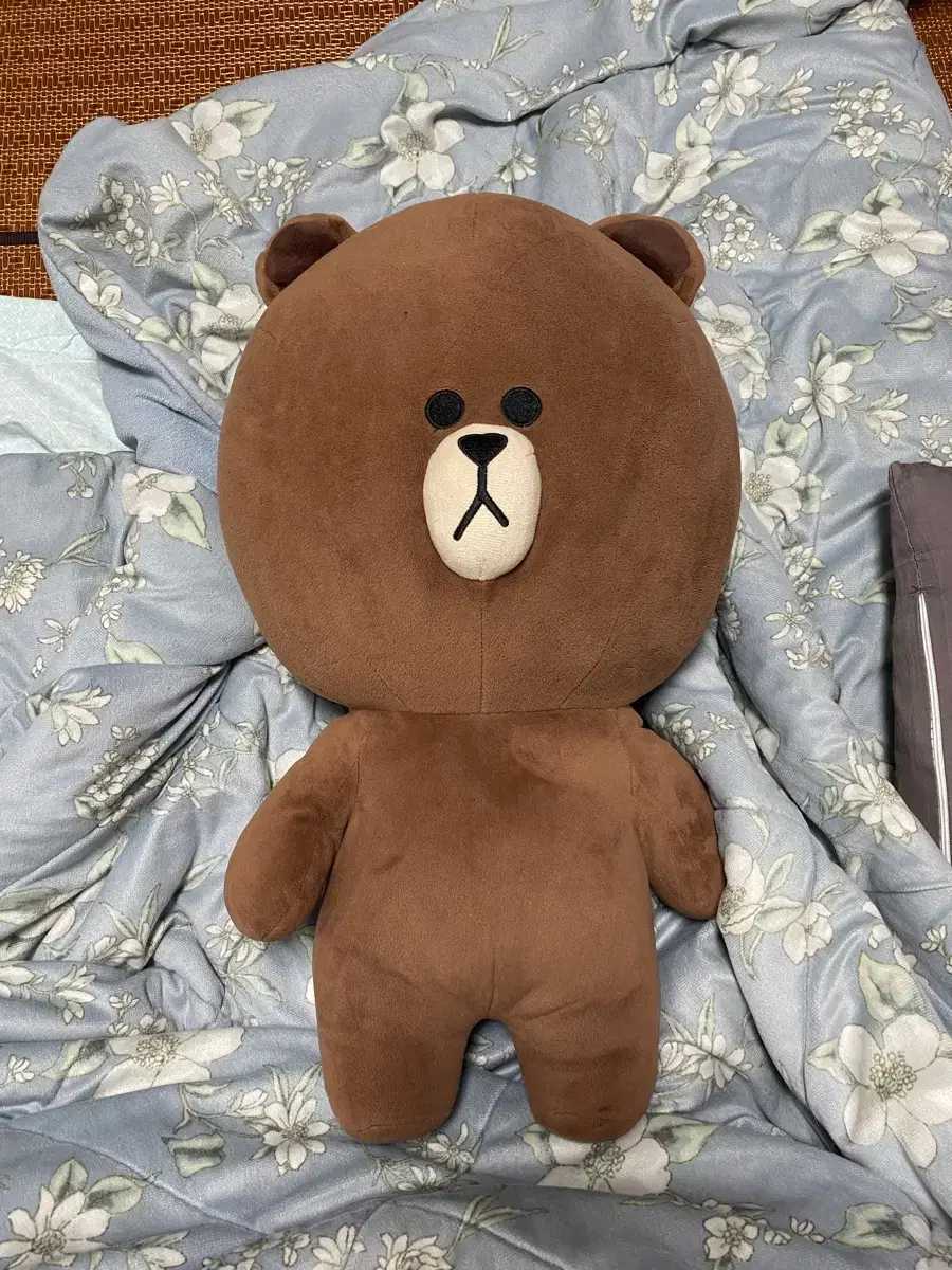 라인프렌즈 브라운 50cm 인형