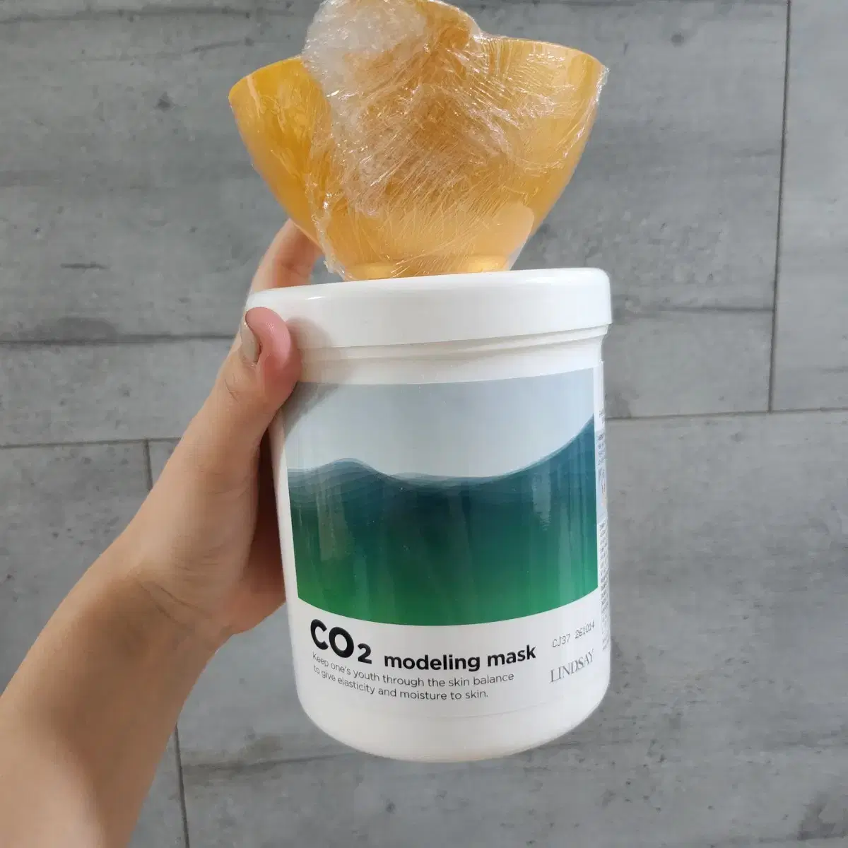 린제이 CO2 모델링팩