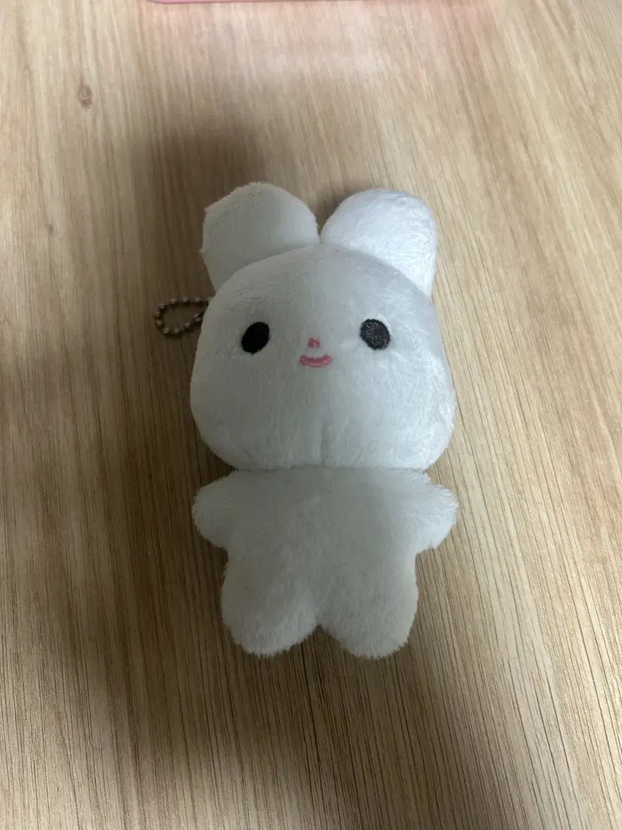 무행이 엔시티 도영 인형 토끼 탈덕 처분 127