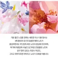 디올 정품 미스디올 블루밍부케 30ml 새상푸