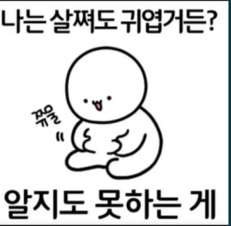 스톤 아일랜드 20년식 검은  패딩  65만원  톡주시면 직거래로 찾아감