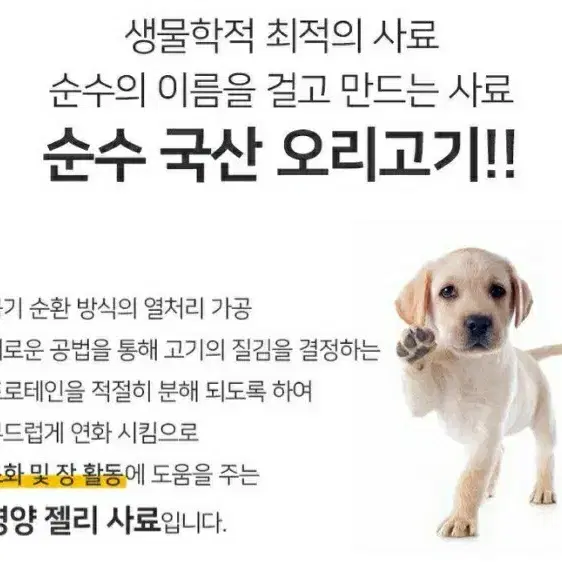 댕댕이 순수사료