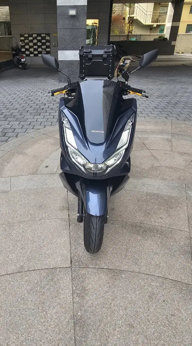 신차급)pcx125 6000km 팝니당:)