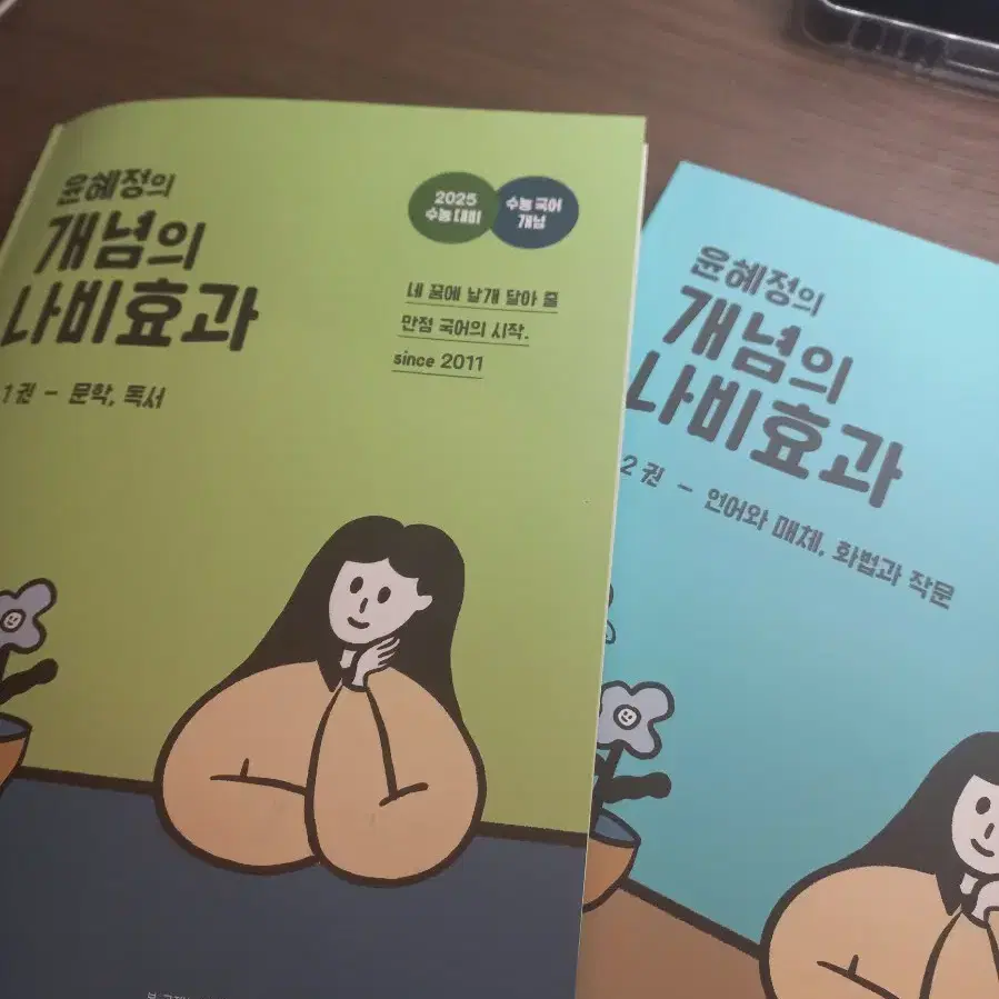 개념의 나비 효과