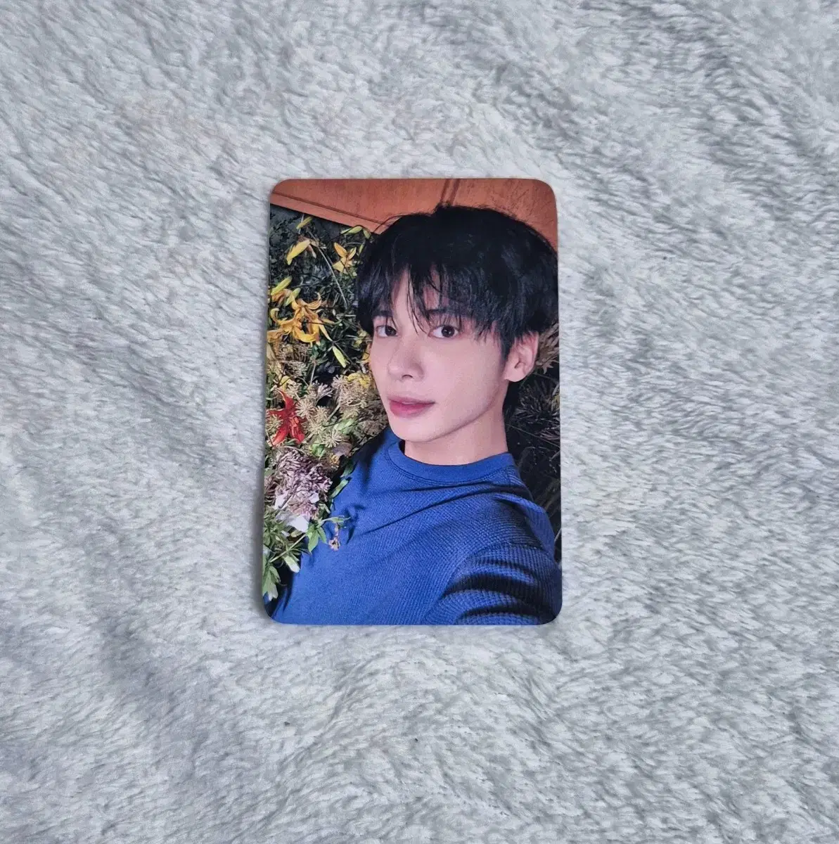 Tomorrow X Together Sanctuary Demamu 2nd taehyun Photo Card Transfer