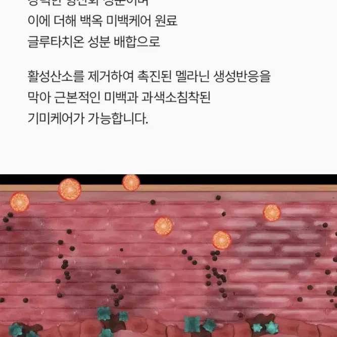 닥터멜락신 아스타잔틴 기미 미백 캡슐 크림