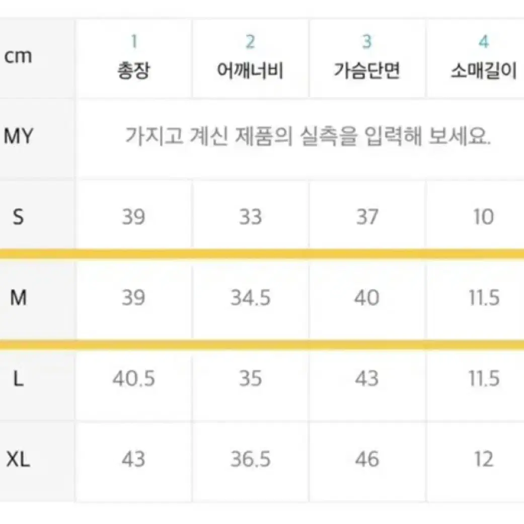 아디다스 링거티 민트(M)