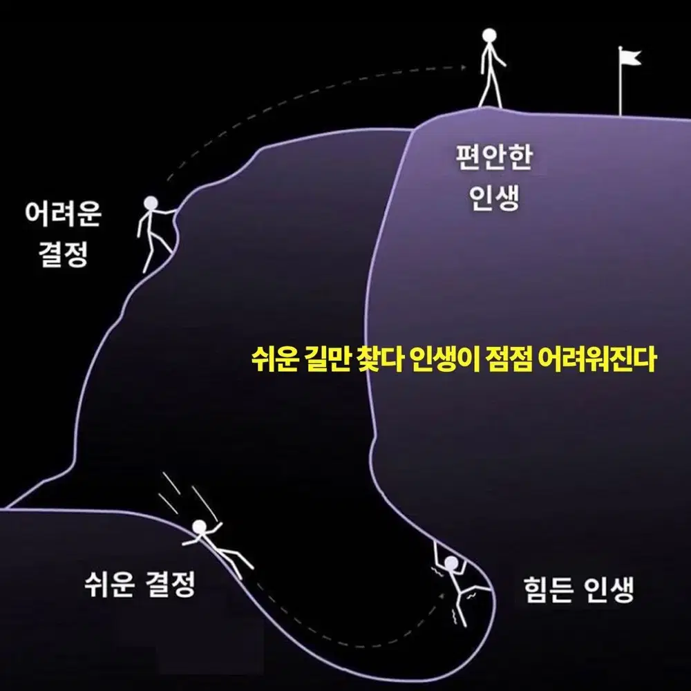 이스터 스칼프  2개 샴푸