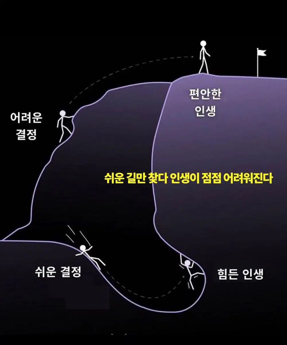 이스터 스칼프  2개 샴푸