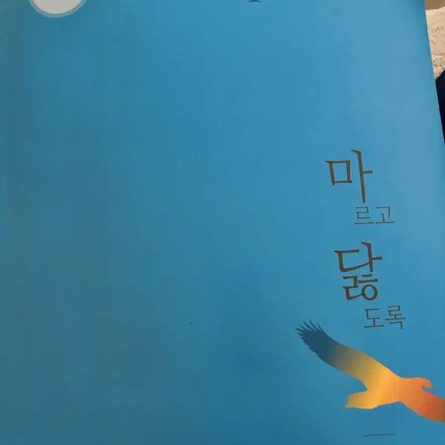 마닳 문제집 (독서 문학) 해설까지 세트 25대비