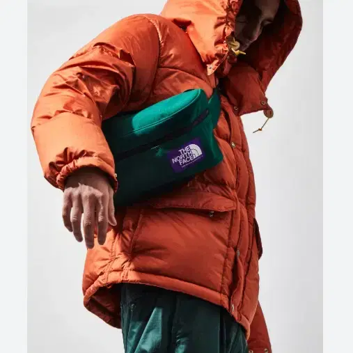 THE NORTH FACE PURPE LABEL