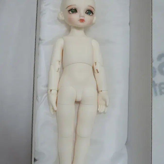 (일괄판매) 루츠 허니델프 피타
