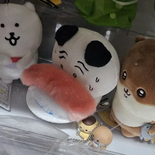 담곰 퍼그 초밥