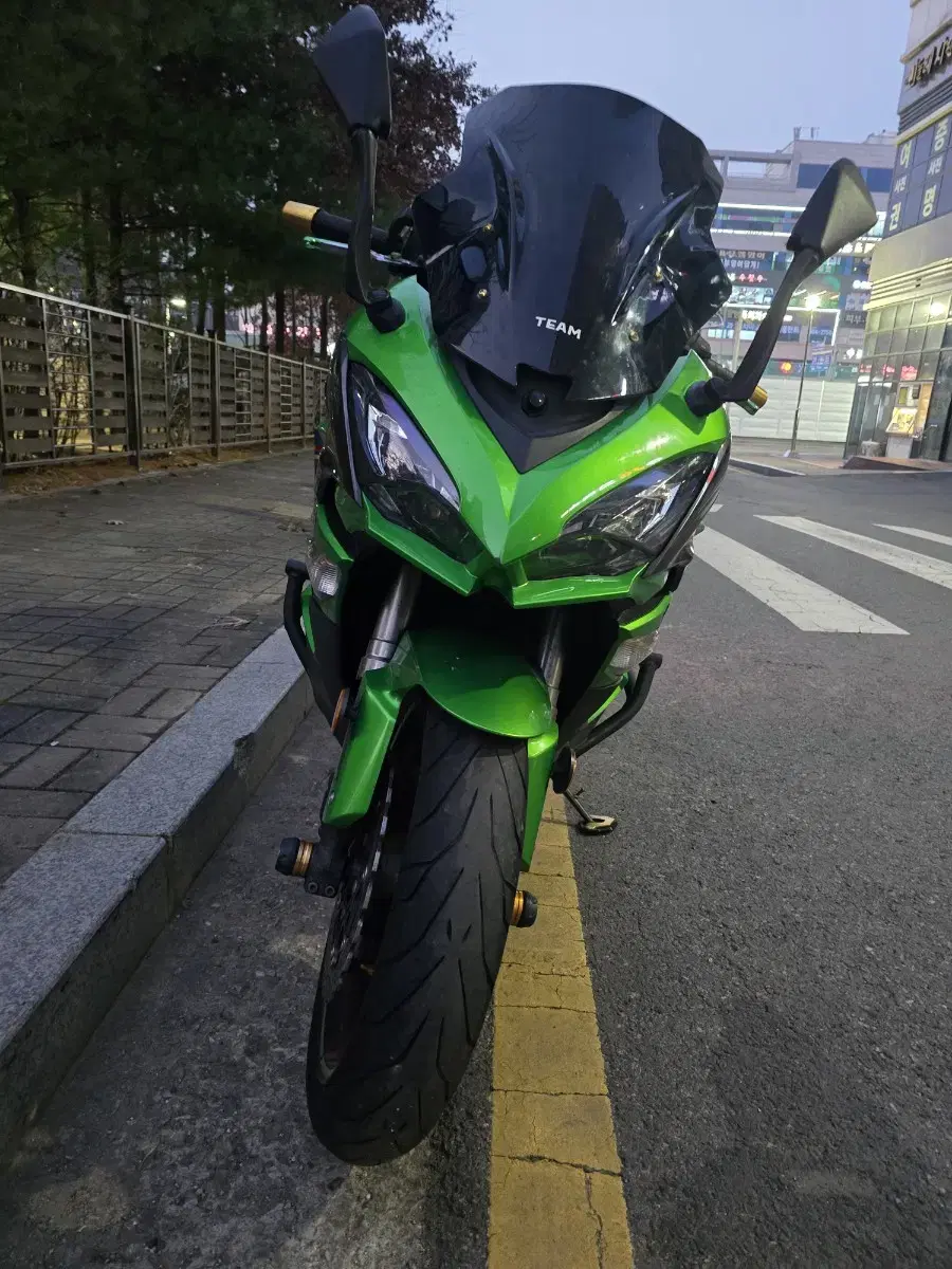 가와사끼 z1000sx [지숙이] 풀배기