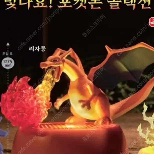 가격인하!빛나요 포켓몬 컬렉션 리자몽 미개봉 판매합니다