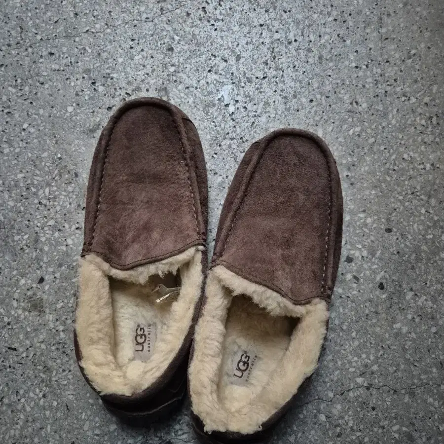 UGG 남성로퍼270