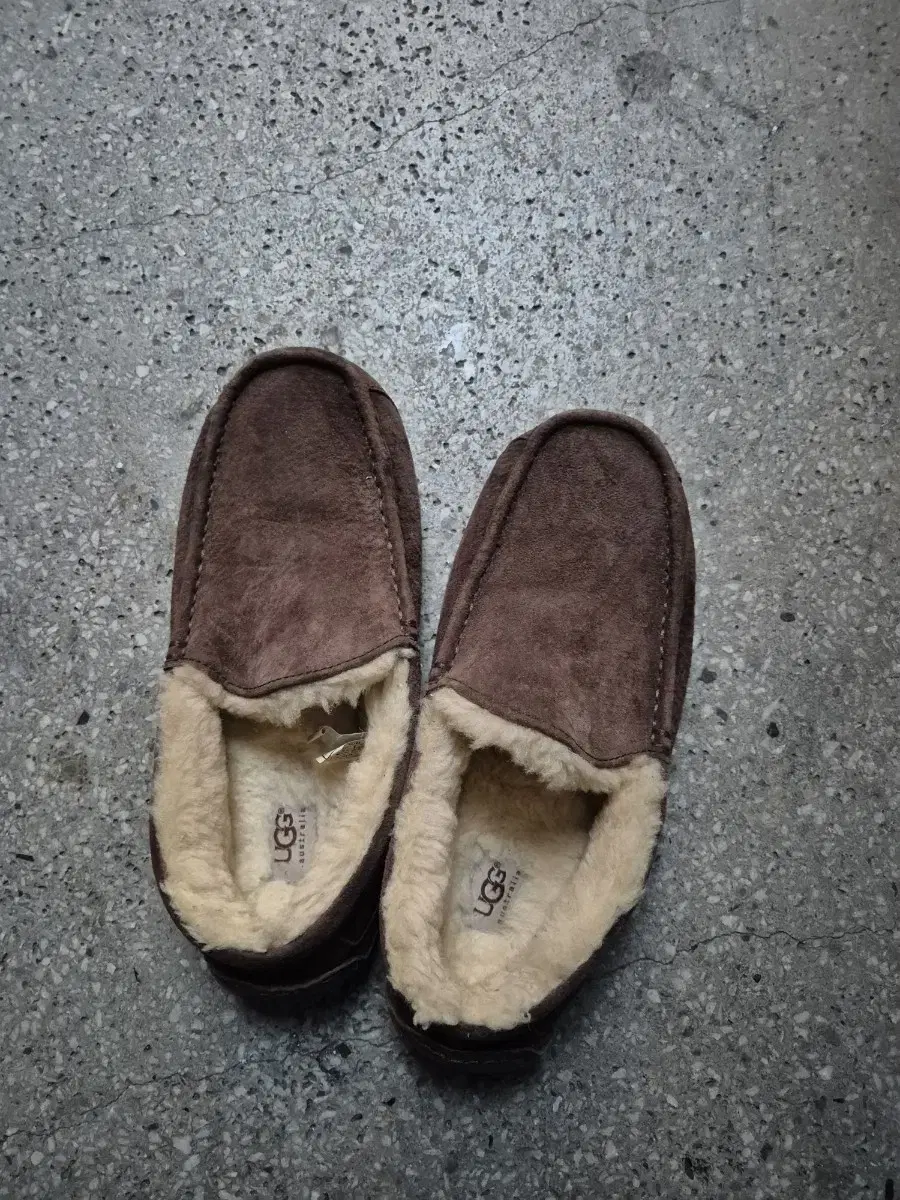 UGG 남성로퍼270