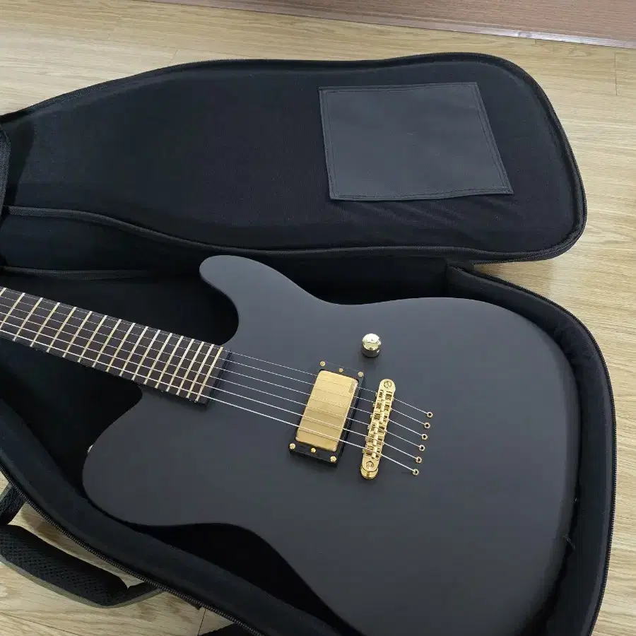 ESP LTD Alan Ashby AA-1 일렉기타 판매해요