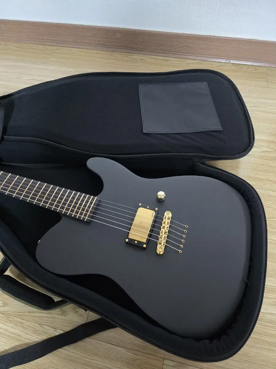 ESP LTD Alan Ashby AA-1 일렉기타 판매해요