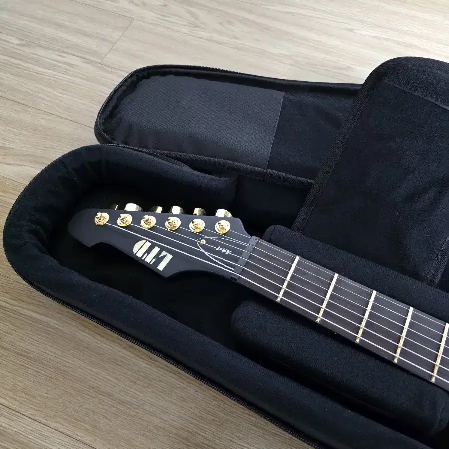 ESP LTD Alan Ashby AA-1 일렉기타 판매해요