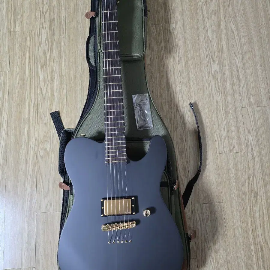 ESP LTD Alan Ashby AA-1 일렉기타 판매해요