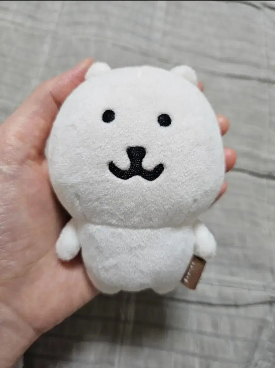 농담곰 인형 키링