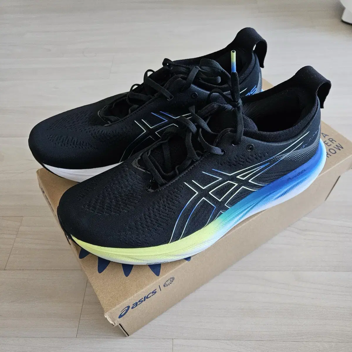 Asics Zelnimbus 25 2E (size 285)