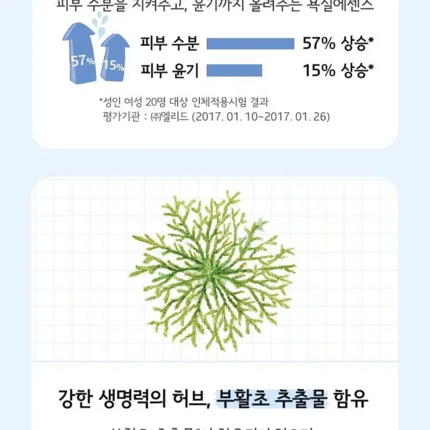 새상품! 빌리프 뉴메로 10 에센스 75ml