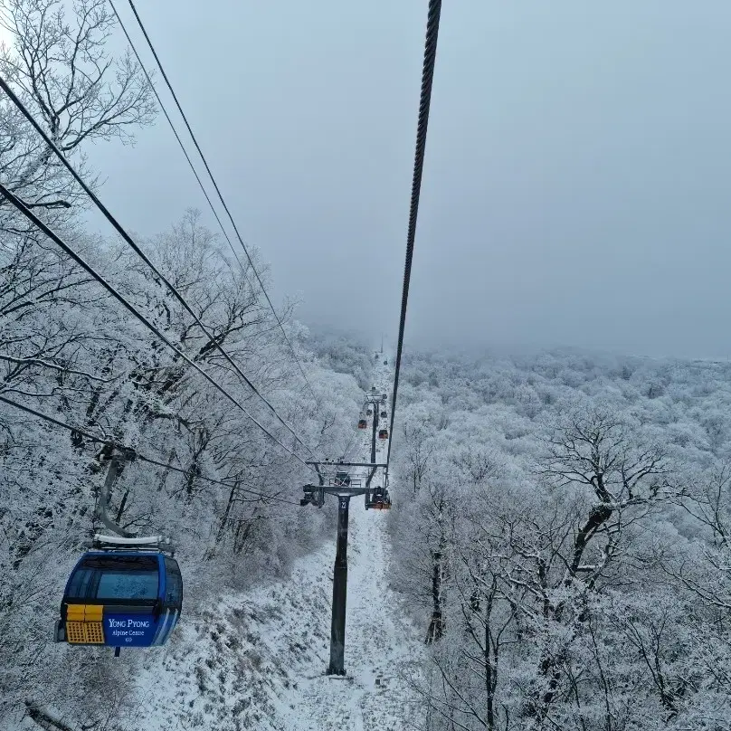 [용평 1.5만원/하이원 5천원] 케이블카 관광곤돌라 왕복권