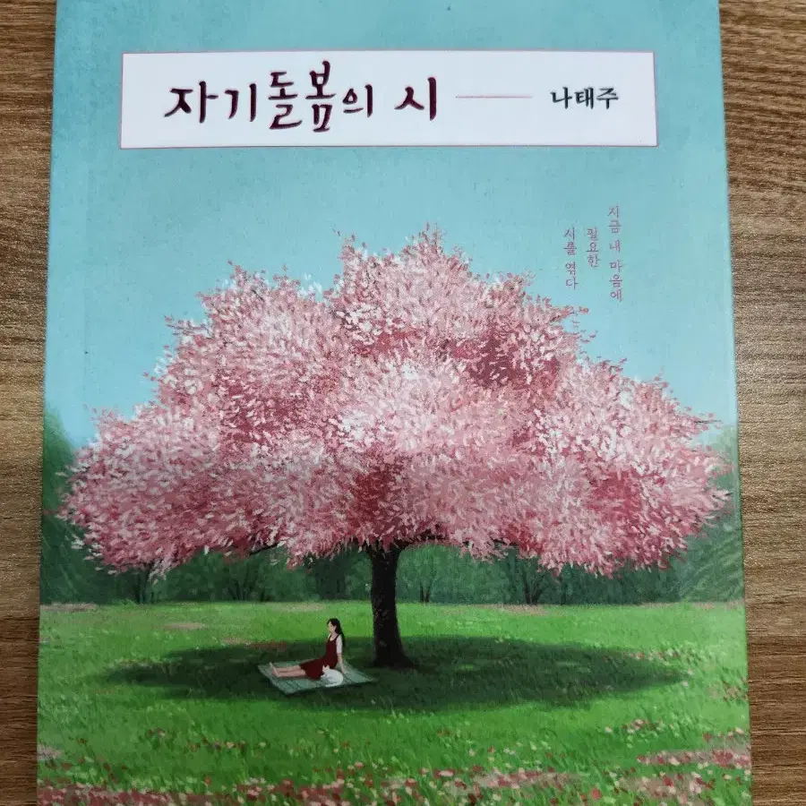 (새책) 자기돌봄의 시, 나태주