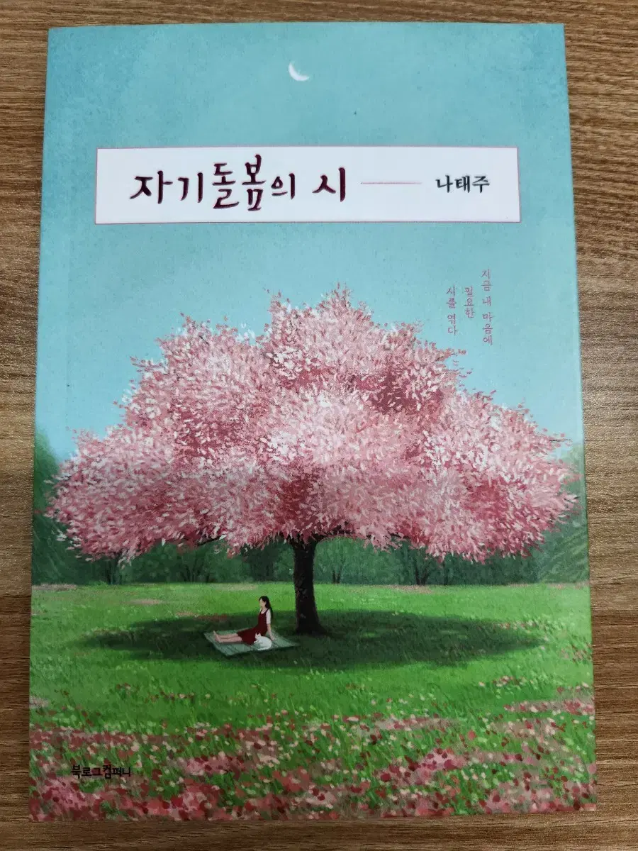 (새책) 자기돌봄의 시, 나태주