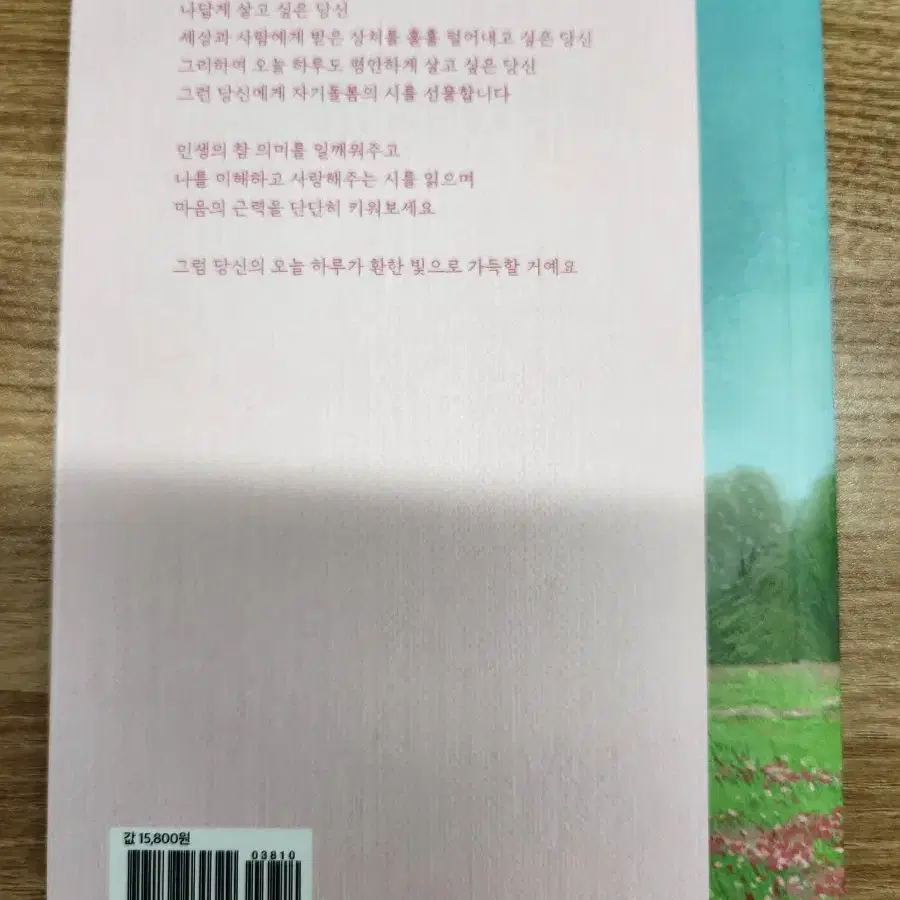 (새책) 자기돌봄의 시, 나태주