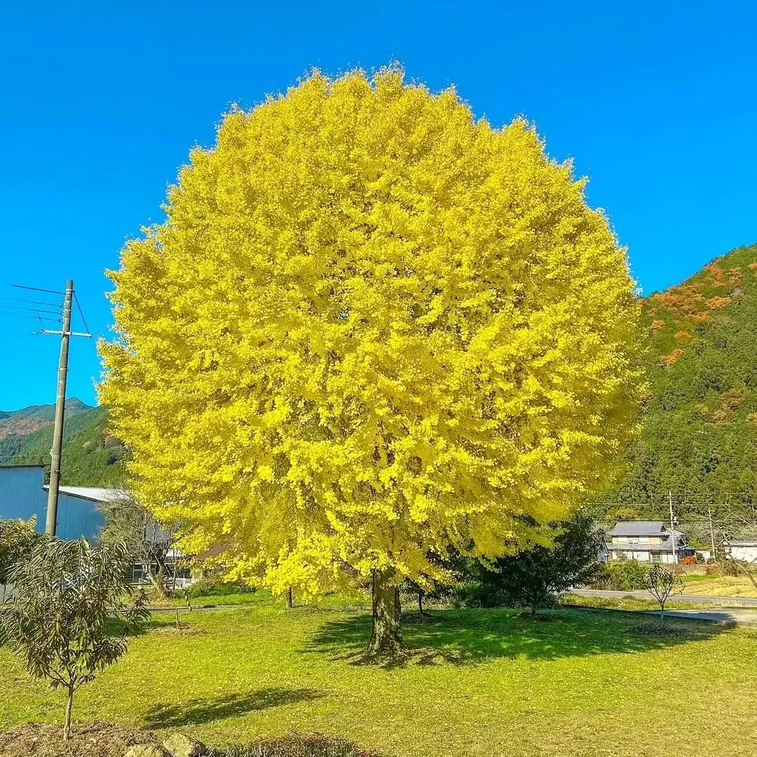 교신받아요