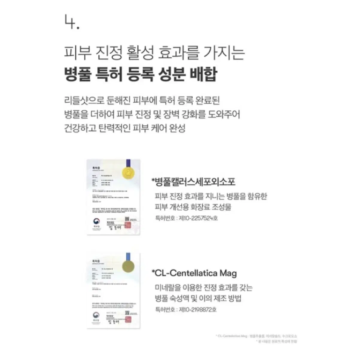 VT 브이티PDRN 피디알엔 리들샷 크림 50ml