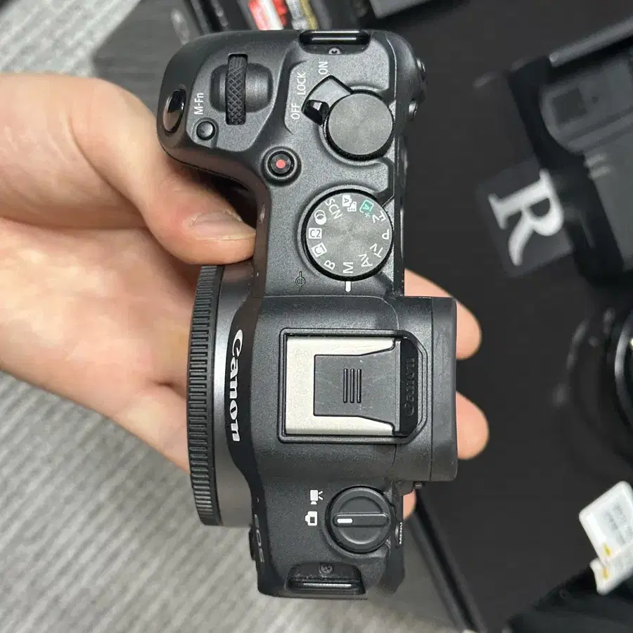 캐논 EOS R8