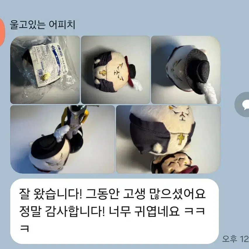 원피스 아미마루 네코누이 네코 누이구루미 정품 인형 공구