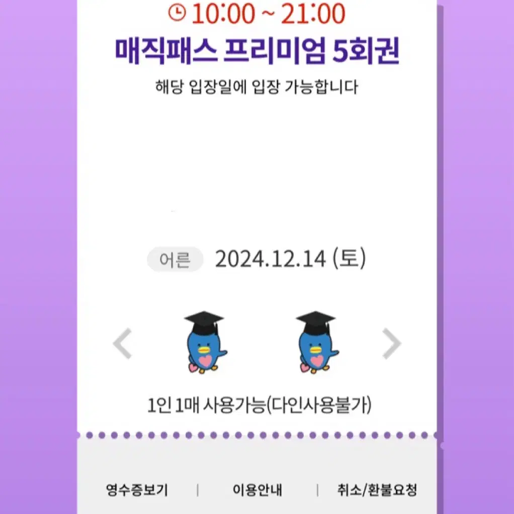 12/14(토)롯데월드 매직패스 5회권 4장