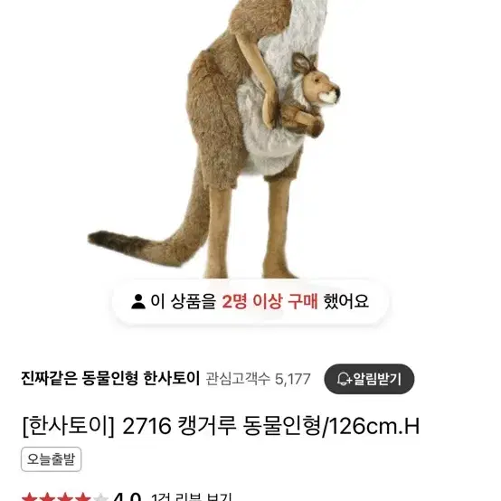 한사토이 캥거루 대형 인형 126cm